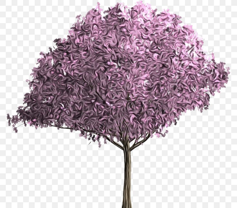 Tree Purple Plant Lilac Violet, PNG, 775x720px, Watercolor, Flower, Grass, Leaf, Lilac Download Free