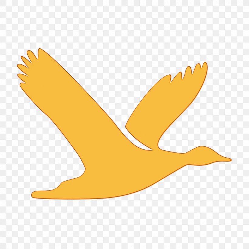 Wing Yellow Bird Beak Logo, PNG, 1200x1200px, Watercolor, Beak, Bird, Goose, Logo Download Free