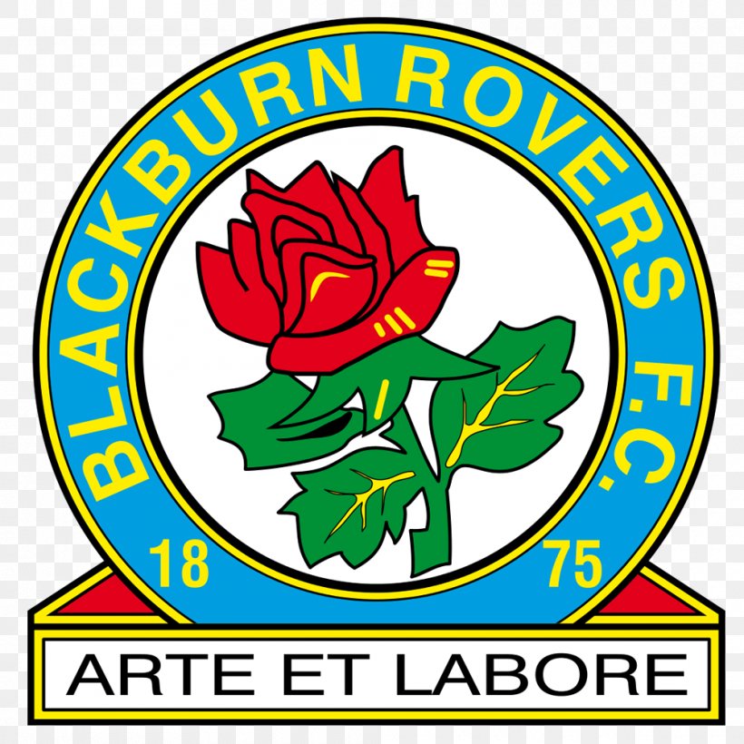 Blackburn Rovers F.C. EFL Championship English Football League Hull City Doncaster Rovers F.C., PNG, 1000x1000px, Blackburn Rovers Fc, Area, Artwork, Association Football Manager, Coach Download Free