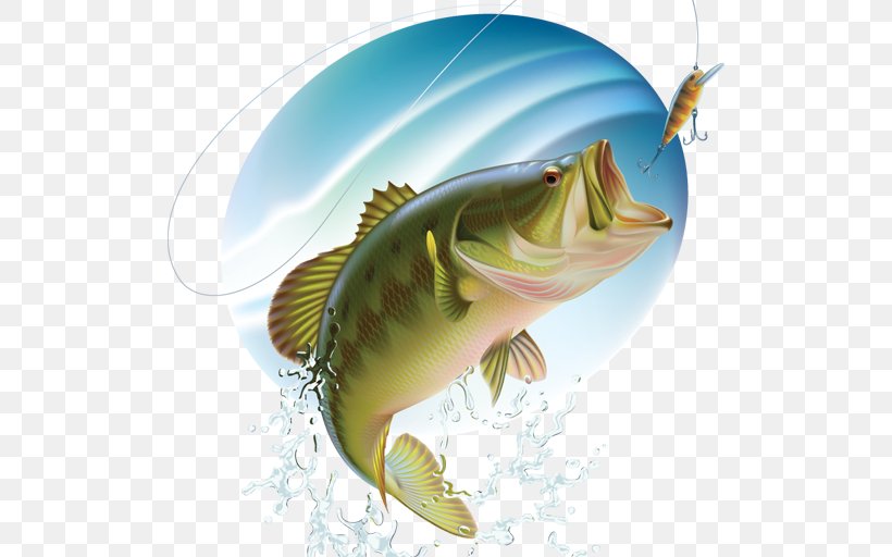 Largemouth Bass Bass Fishing, PNG, 512x512px, Largemouth Bass, Bass, Bass Fishing, Bony Fish, Cod Download Free