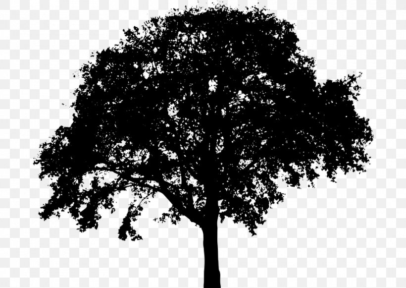 Silhouette Tree Royalty-free Clip Art, PNG, 960x681px, Silhouette, Black And White, Branch, Deciduous, Leaf Download Free