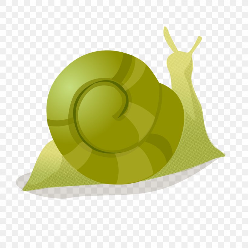 Green, PNG, 1000x1000px, Green, Grass, Leaf, Logo, Snail Download Free