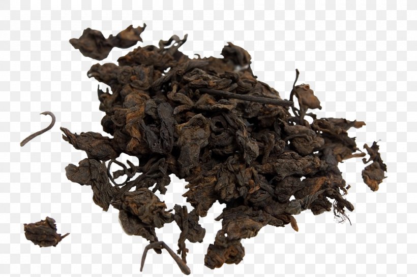 Green Tea Nilgiri Tea White Tea Oolong, PNG, 1000x667px, Tea, Assam Tea, Bancha, Black Tea, Camellia Sinensis Download Free