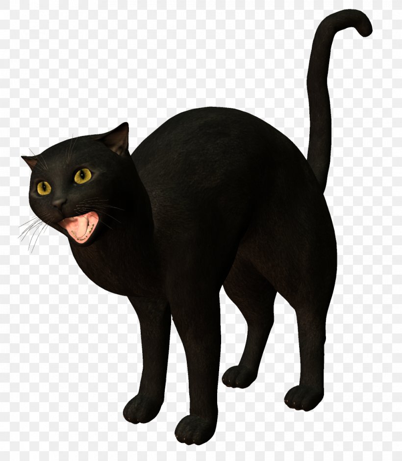 Bombay Cat Burmese Cat Korat Black Cat, PNG, 1020x1170px, Bombay Cat, Asian, Black Cat, Bombay, Burmese Download Free