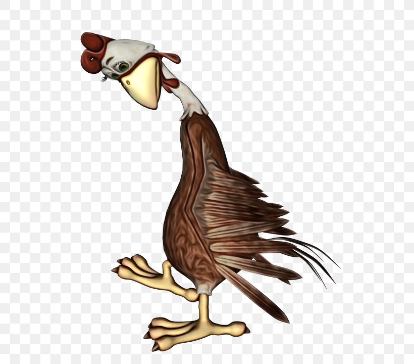 Chicken Cartoon, PNG, 540x720px, Cartoon, Beak, Bird, Chicken, Goose Download Free
