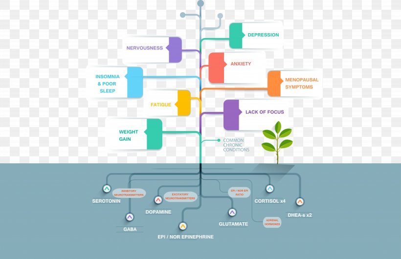 Infographic Timeline Diagram Graphic Design Template, PNG, 6122x3961px, Infographic, Brand, Business, Communication, Computer Graphics Download Free