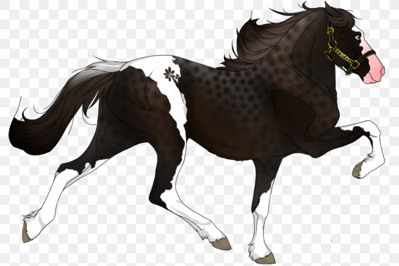 Mustang Pony Appaloosa Stallion Mare, PNG, 900x600px, Mustang, Appaloosa, Bit, Bridle, Equine Anatomy Download Free