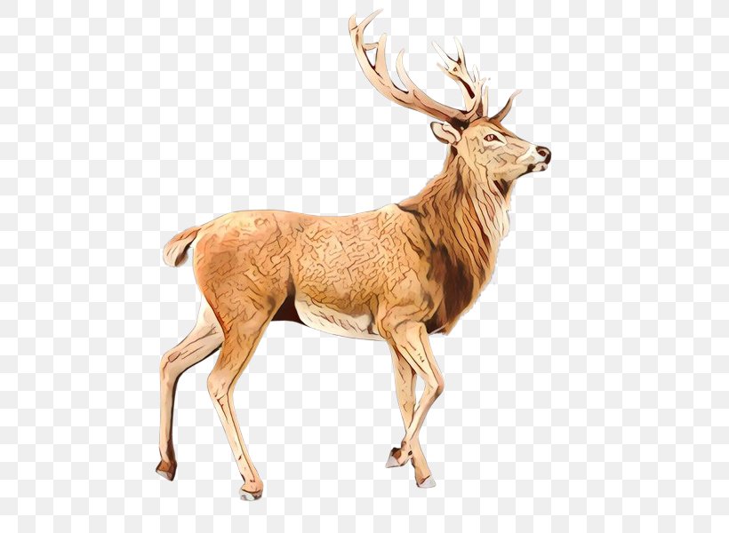 Reindeer, PNG, 800x600px, Cartoon, Animal Figure, Antler, Deer, Elk Download Free