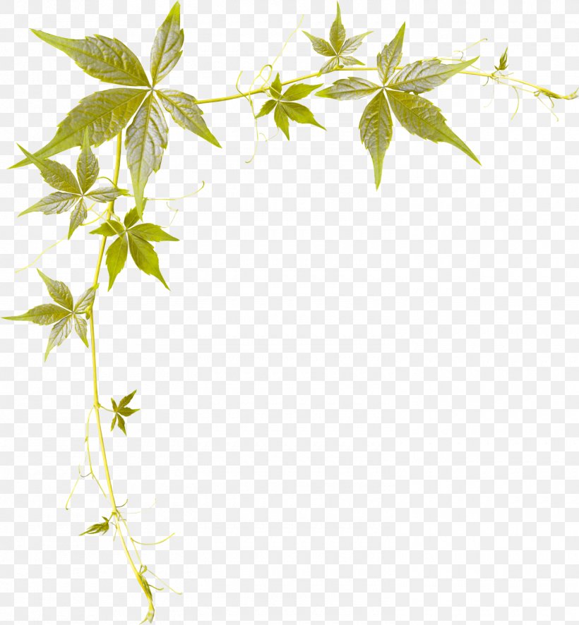 Clip Art, PNG, 1500x1621px, Drawing, Art, Blog, Branch, Flora Download Free