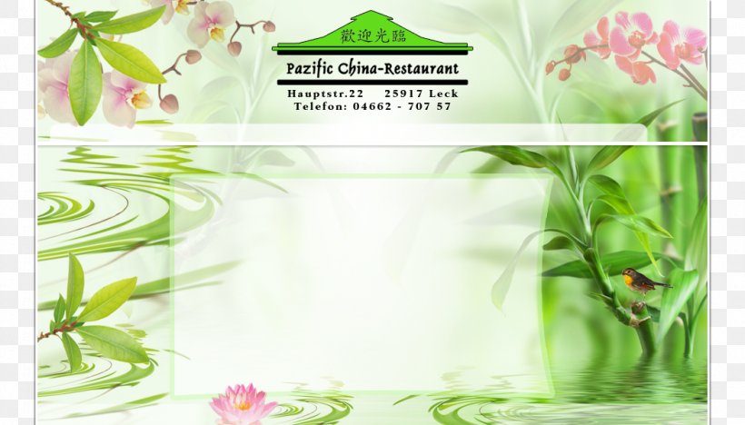 Floral Design Herbalism Alternative Health Services, PNG, 1050x600px, Floral Design, Alternative Health Services, Computer, Flora, Floristry Download Free