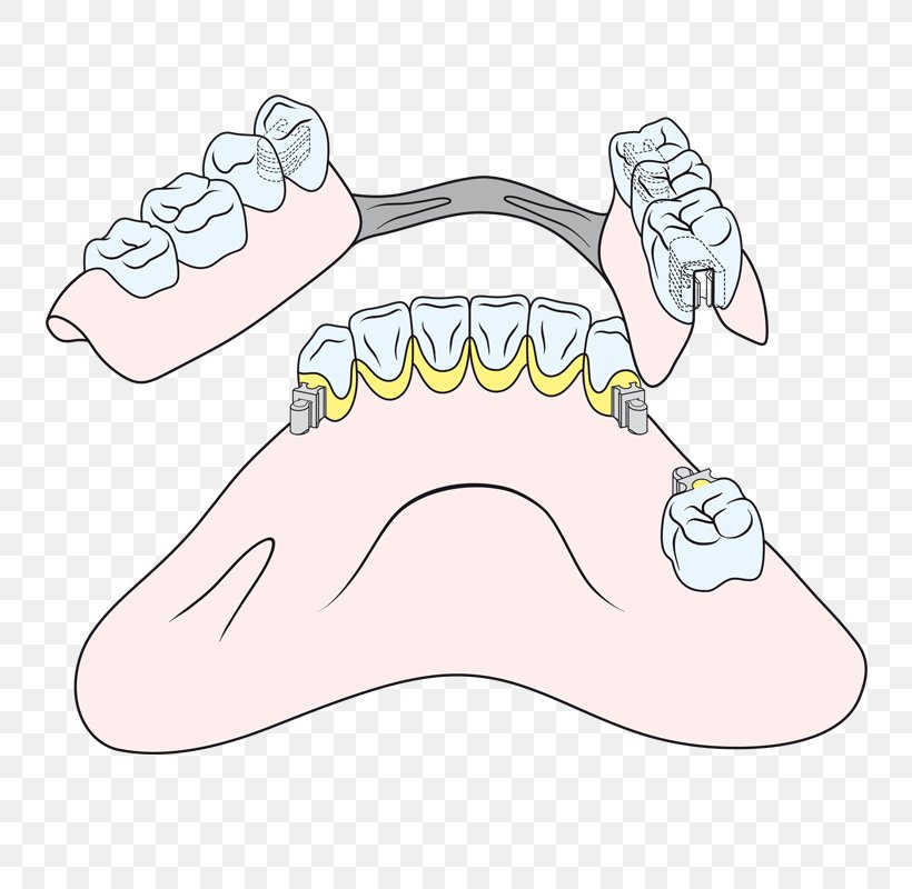 Mouth Jaw Clip Art, PNG, 800x800px, Watercolor, Cartoon, Flower, Frame, Heart Download Free