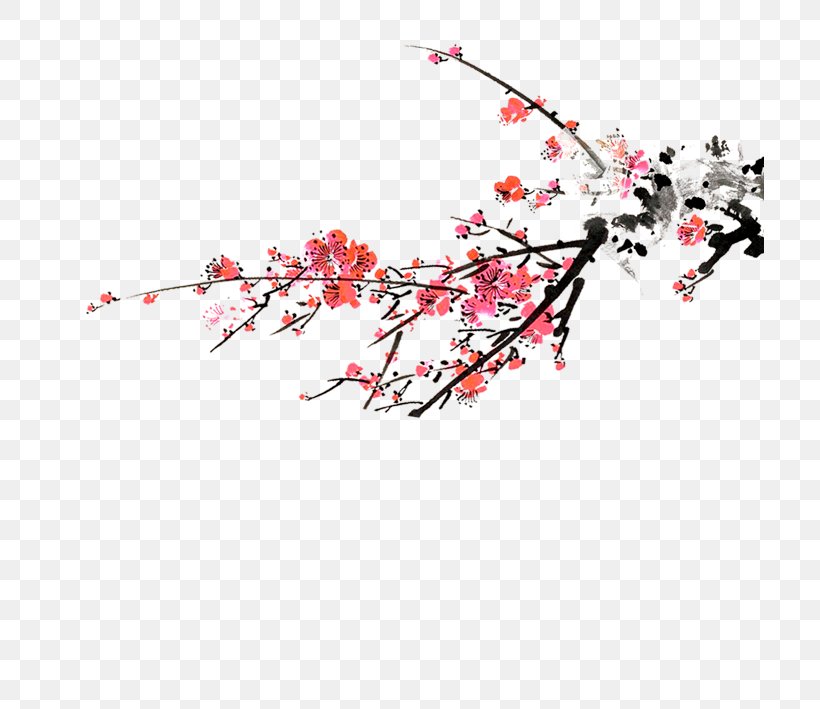 Plum Blossom Flower Computer Network, PNG, 709x709px, Plum Blossom, Branch, Cherry Blossom, Chimonanthus Praecox, Computer Download Free