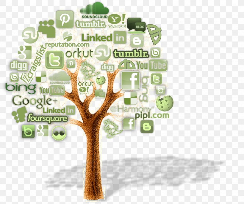 Web Development Digital Marketing Social Media Web Design, PNG, 1551x1303px, Web Development, Business, Digital Marketing, Human Behavior, Marketing Download Free