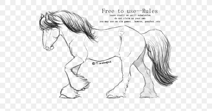 Mane Mustang Pony Stallion Howrse, PNG, 604x429px, Mane, Animal Figure, Arm, Artwork, Black And White Download Free