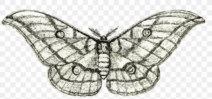 Butterfly Moth Insect Clip Art, PNG, 2400x1128px, Butterfly, Animal, Artwork, Black And White, Bombycidae Download Free