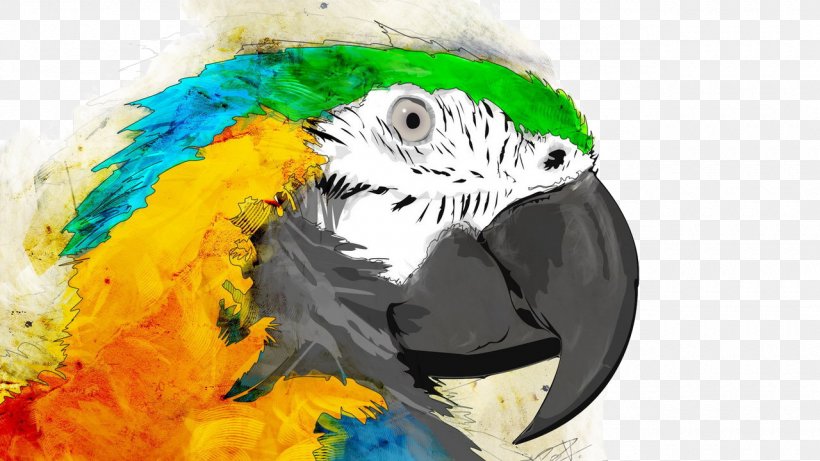 Parrot Bird Watercolor Painting Macaw, PNG, 1280x720px, Parrot, Beak, Bird, Blueandyellow Macaw, Color Download Free