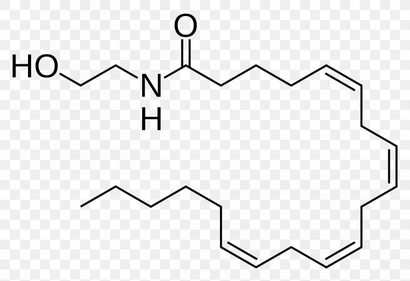 Tartaric Acid Malic Acid Tartrate Fatty Acid Amide, PNG, 1200x825px, Tartaric Acid, Acid, Acidulant, Amidase, Amide Download Free
