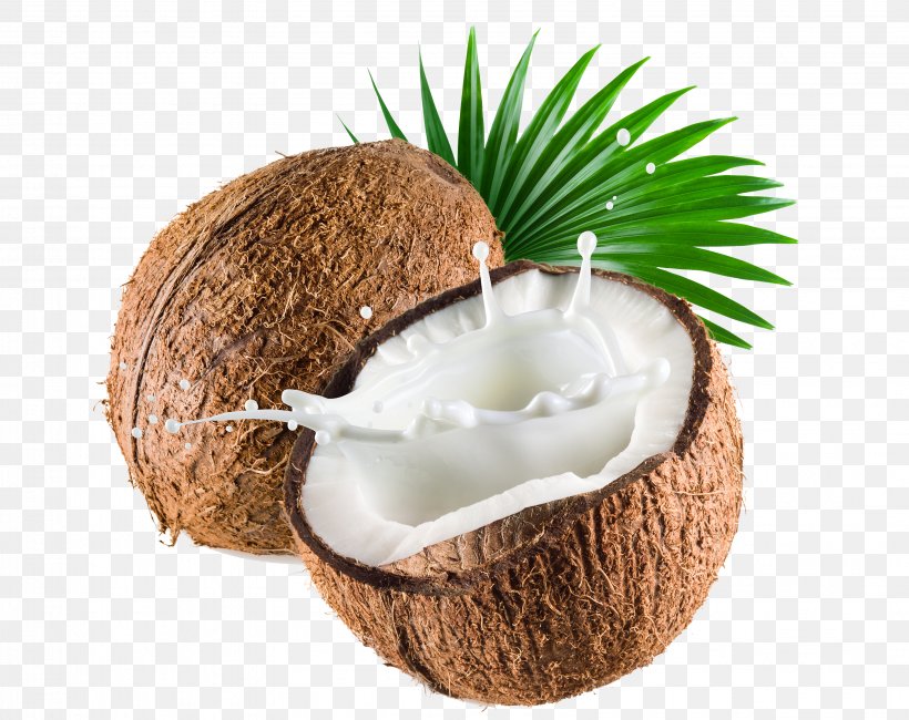 Coconut Milk Coconut Water Thai Cuisine, PNG, 3191x2530px, Coconut Milk, Coconut, Coconut Milk Powder, Coconut Oil, Coconut Water Download Free