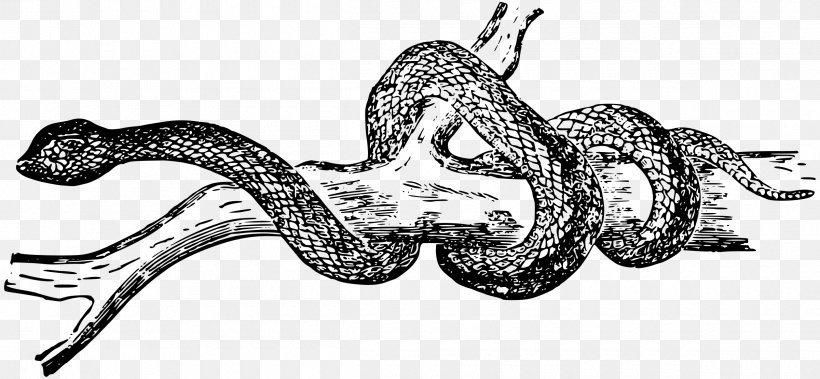 Black Rat Snake Reptile Clip Art, PNG, 2400x1112px, Snake, Animal, Art, Artwork, Auto Part Download Free