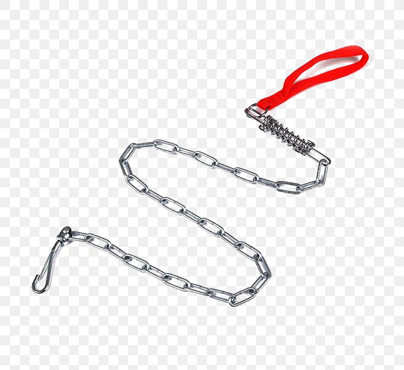 Dog Puppy Chain Pet, PNG, 750x750px, Dog, Chain, Collar, Dog Walking, Fashion Accessory Download Free