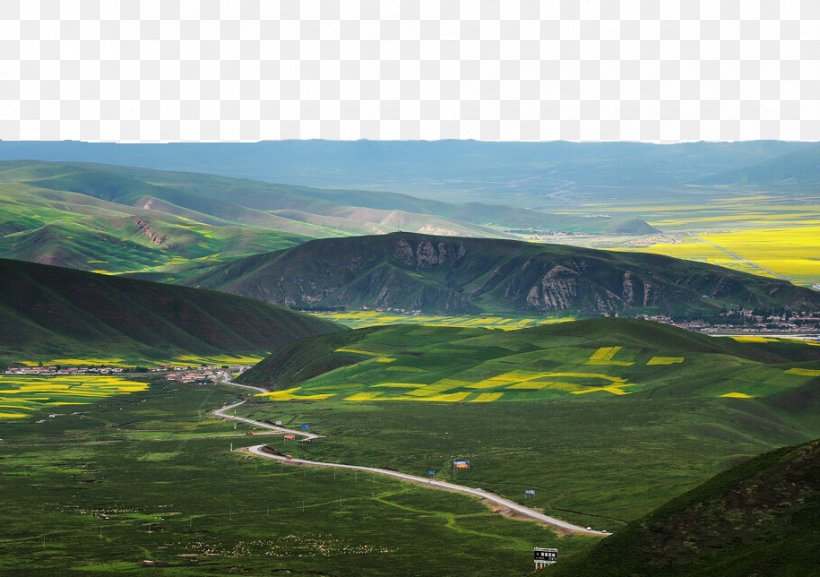 Qinghai Flores Sea Landscape, PNG, 915x644px, Qinghai, Badlands, Canola, Data, Data Compression Download Free