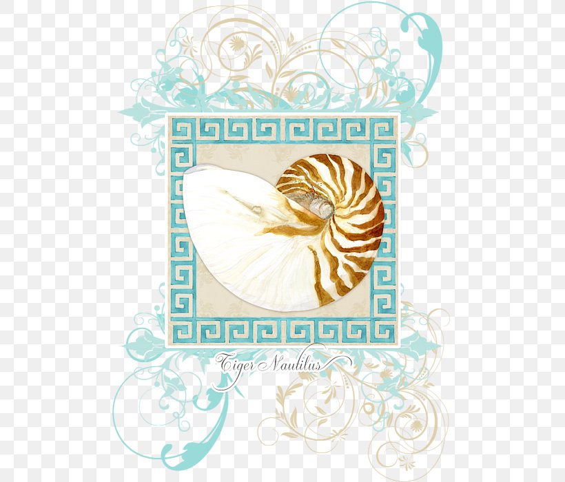 Seashell Nautilidae Light Curtain, PNG, 508x700px, Seashell, Ammonites, Bathroom, Beach, Coast Download Free