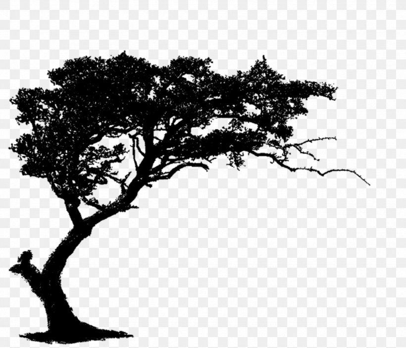 Tree Brush Clip Art, PNG, 1750x1500px, Tree, Black And White, Branch, Brush, Drawing Download Free