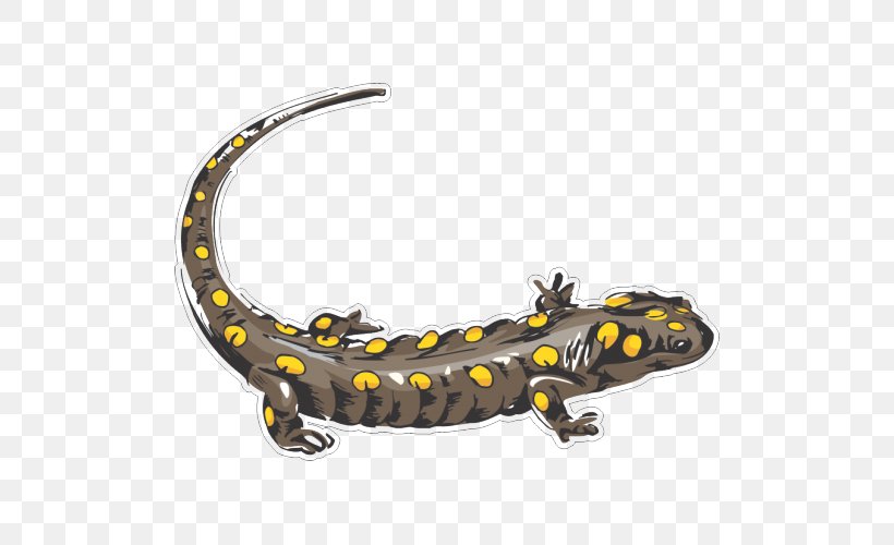 Newt Bumper Sticker Car Adhesive, PNG, 500x500px, Newt, Adhesive, Amphibian, Bumper, Bumper Sticker Download Free