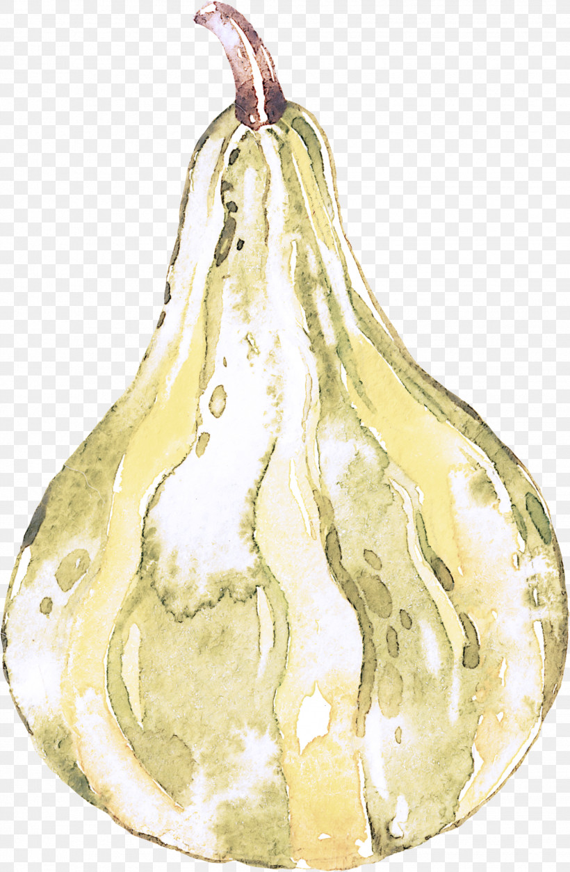 Pear Vegetable Plant Fruit Pear, PNG, 1958x2995px, Pear, Food, Fruit, Garlic, Onion Download Free