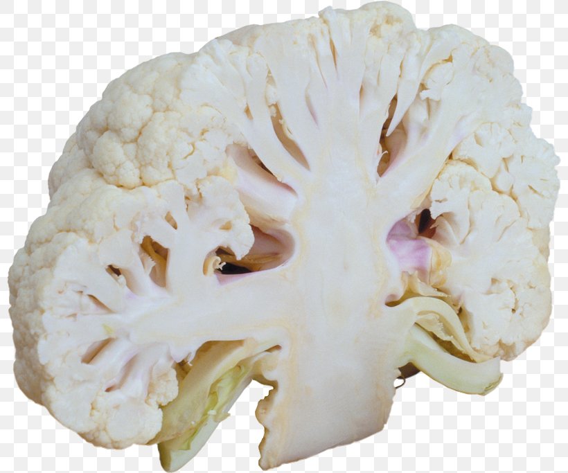 Cauliflower Broccoli Vegetarian Cuisine Vegetable Cabbage, PNG, 800x683px, Cauliflower, Bone, Brassica Oleracea, Broccoli, Brussels Sprout Download Free
