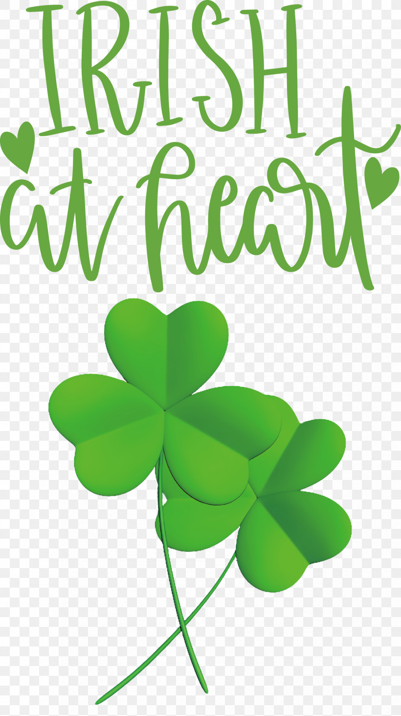 Shamrock Irish Saint Patrick, PNG, 1682x3000px, Shamrock, Biology, Flower, Green, Irish Download Free