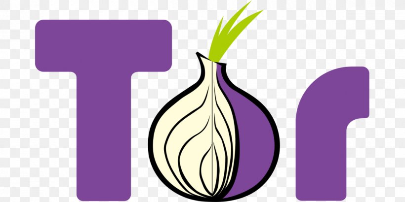Tor Browser Onion Routing Web Browser Dark Web, PNG, 1200x600px, Tor, Anonymity, Anonymous Web Browsing, Brand, Browser Security Download Free