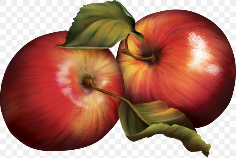 Apple Fruits Et Légumes Vegetable Food, PNG, 1280x854px, Apple, Blog, Food, Fruit, Local Food Download Free
