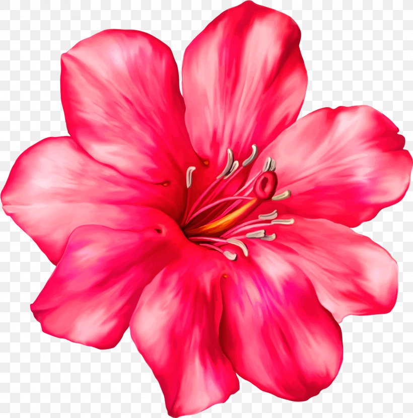 Clip Art Flower Desktop Wallpaper Vector Graphics, PNG, 1358x1376px, Flower, Azalea, Botany, Drawing, Flowering Plant Download Free