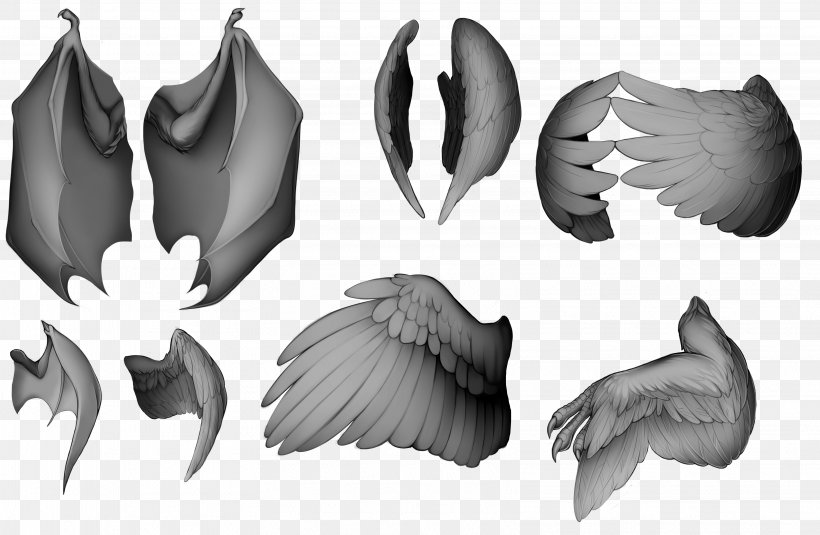 Closed Wing Bird /m/02csf, PNG, 3238x2114px, Wing, Bird, Black And White, Closed Wing, Com Download Free