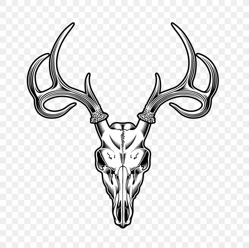 Deer Skull Drawing Illustration, PNG, 1181x1181px, Deer, Antler, Black And White, Drawing, Head Download Free