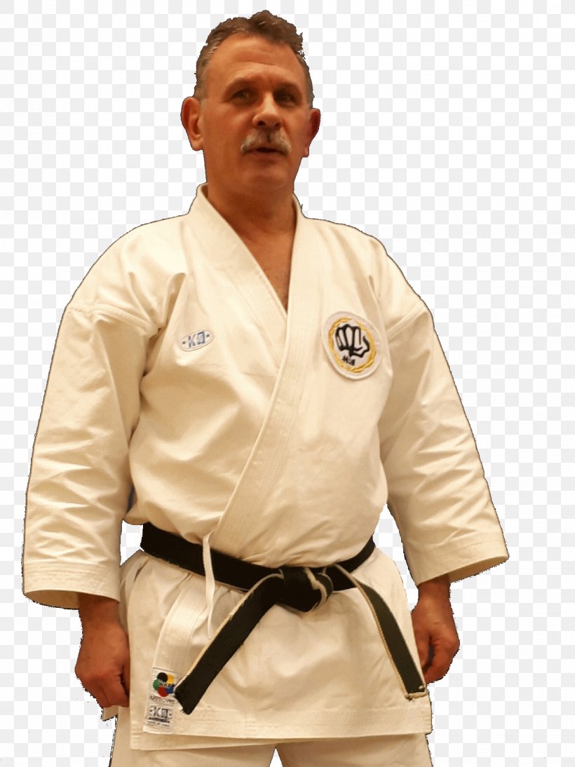 Dobok Karate Robe Sleeve Uniform, PNG, 1339x1788px, Dobok, Arm, Clothing, Costume, Japanese Martial Arts Download Free