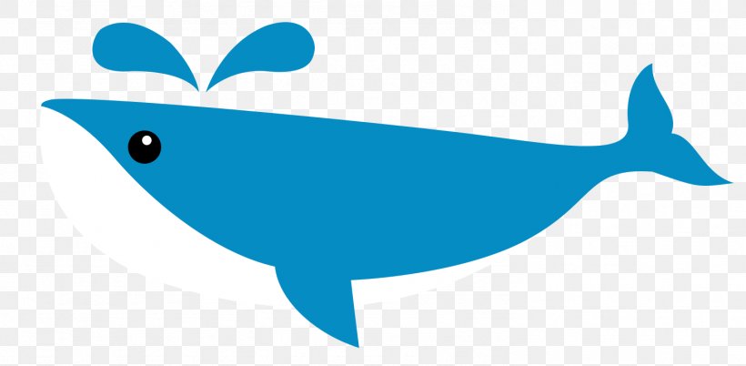 Dolphin Shark Whale Clip Art, PNG, 1486x729px, Dolphin, Blue, Blue Whale, Cartilaginous Fish, Cartoon Download Free