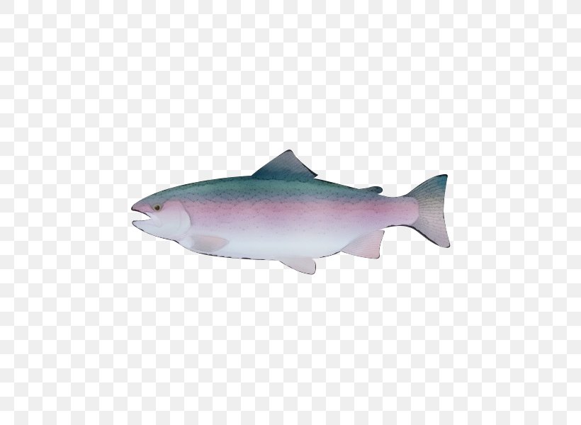 Fish Fish Fin Salmon Sockeye Salmon, PNG, 600x600px, Watercolor, Bonyfish, Cod, Fin, Fish Download Free