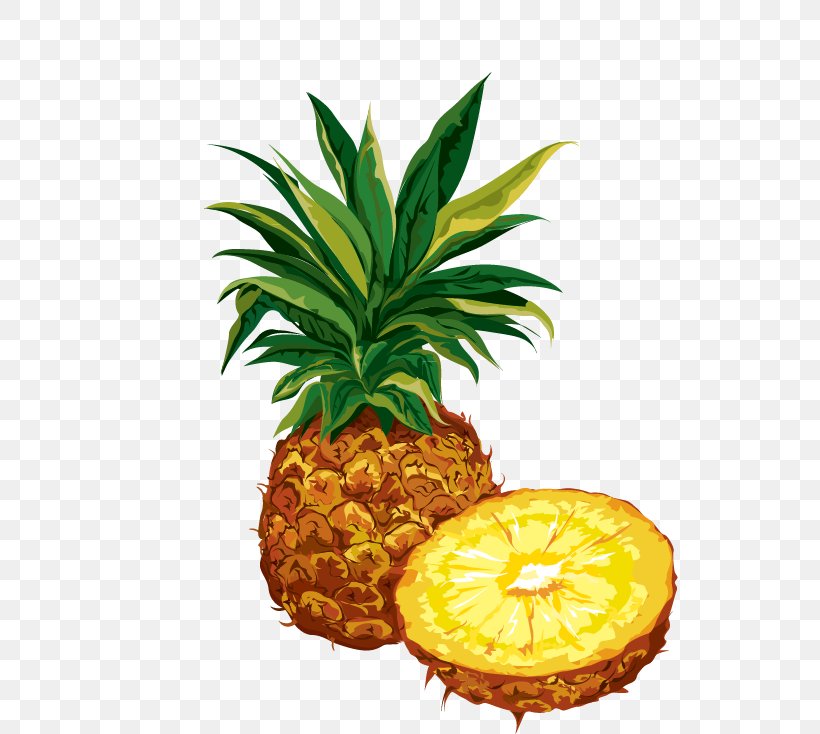 Pineapple Dried Fruit Organic Food Clip Art, PNG, 536x734px, Pineapple, Ananas, Apple, Bromeliaceae, Dieting Download Free