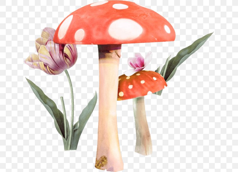 Mushroom Fungus Clip Art, PNG, 658x591px, Mushroom, Cartoon, Child, Cut Flowers, Floral Design Download Free