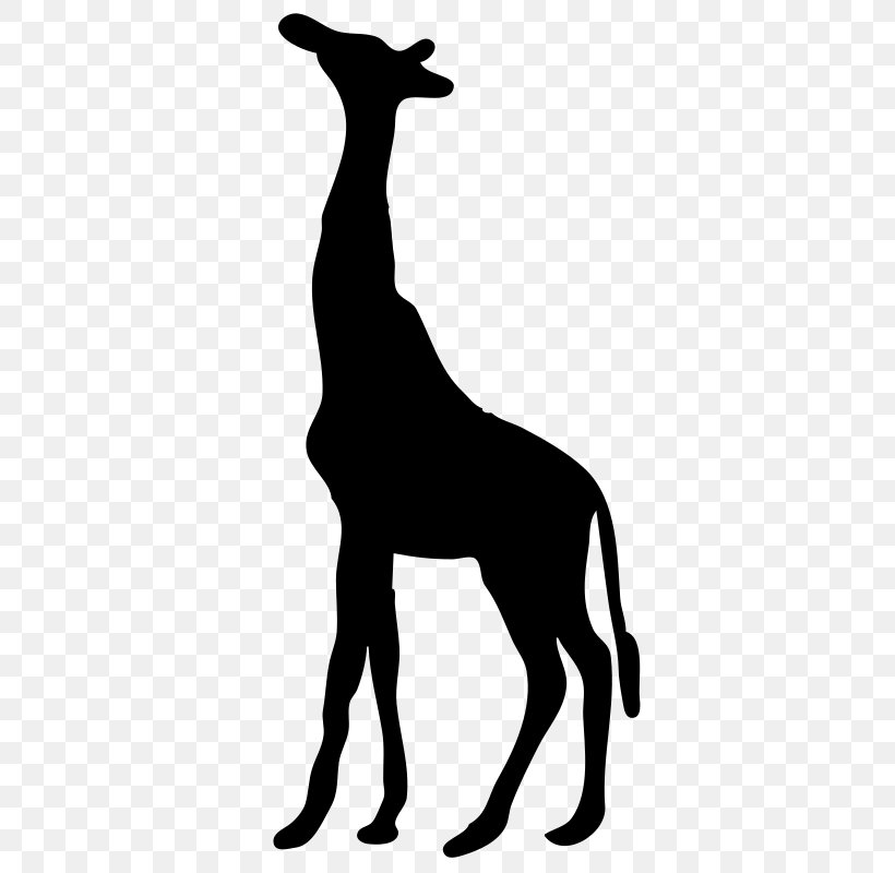 Silhouette Northern Giraffe Clip Art, PNG, 800x800px, Silhouette, Animal Figure, Black, Black And White, Drawing Download Free