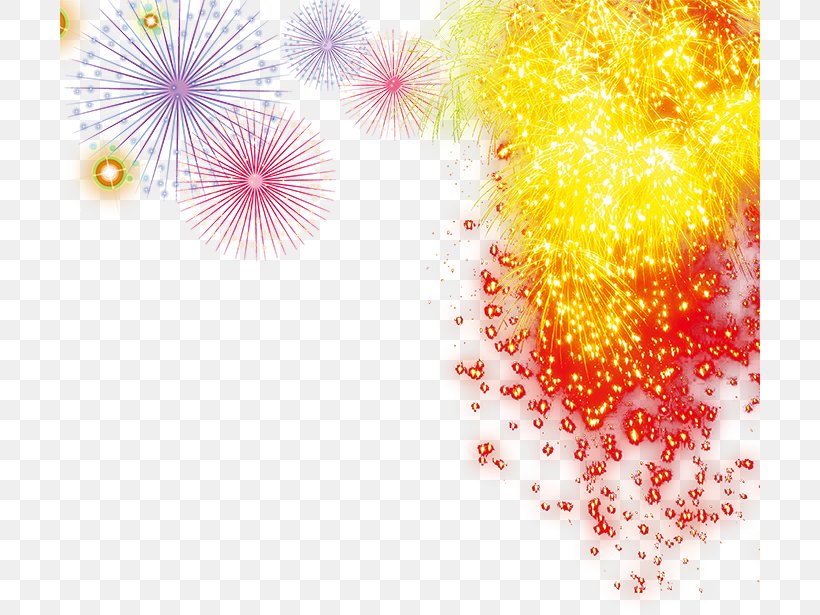 Sumidagawa Fireworks Festival, PNG, 700x615px, Sumidagawa Fireworks Festival, Color, Festival, Fire, Fireworks Download Free