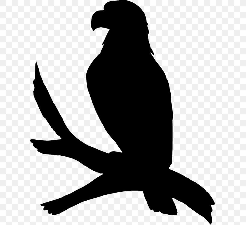 Bird Silhouette, PNG, 620x750px, Beak, Bird, Bird Of Prey, Claw, Falconiformes Download Free