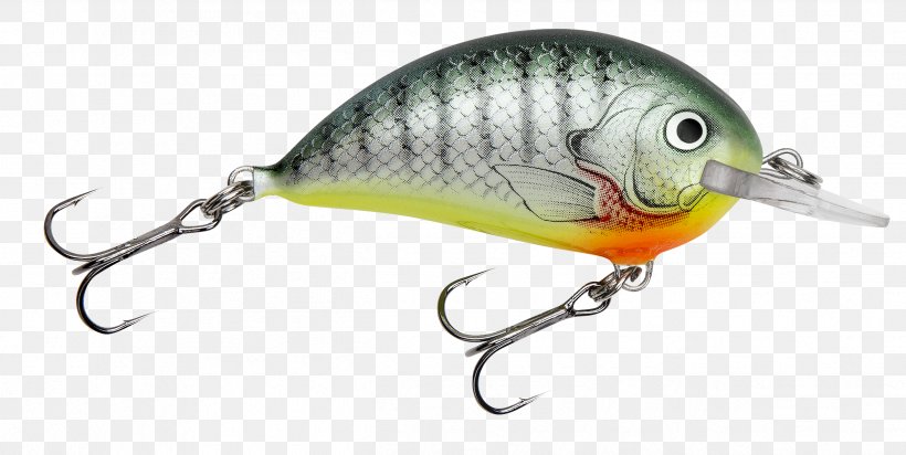 Perch Fishing Baits & Lures Chartreuse Angling, PNG, 2498x1257px, Perch, Amazoncom, Angling, Bait, Bluegill Download Free