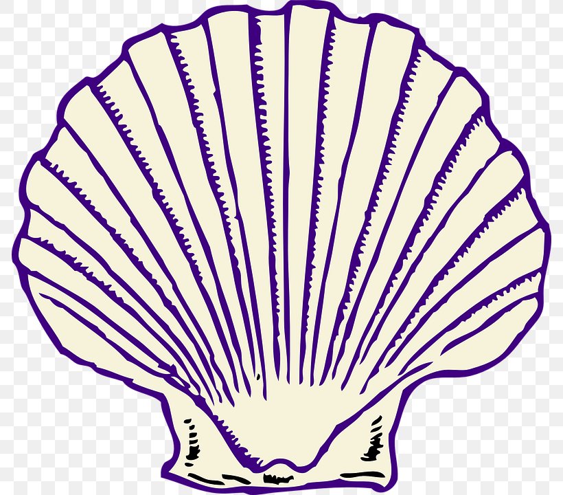 Seashell Clip Art, PNG, 786x720px, Seashell, Area, Art, Artwork, Document Download Free