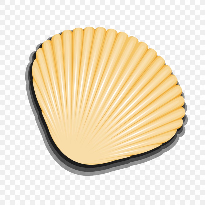 Seashell Euclidean Vector, PNG, 1181x1181px, Seashell, Coral, Coral Reef, Description, Ostrea Download Free
