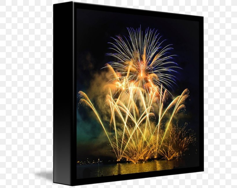 Wisgoon Night Fireworks Organism Desktop Wallpaper, PNG, 606x650px, Wisgoon, Chemical Element, Computer, Event, Fireworks Download Free