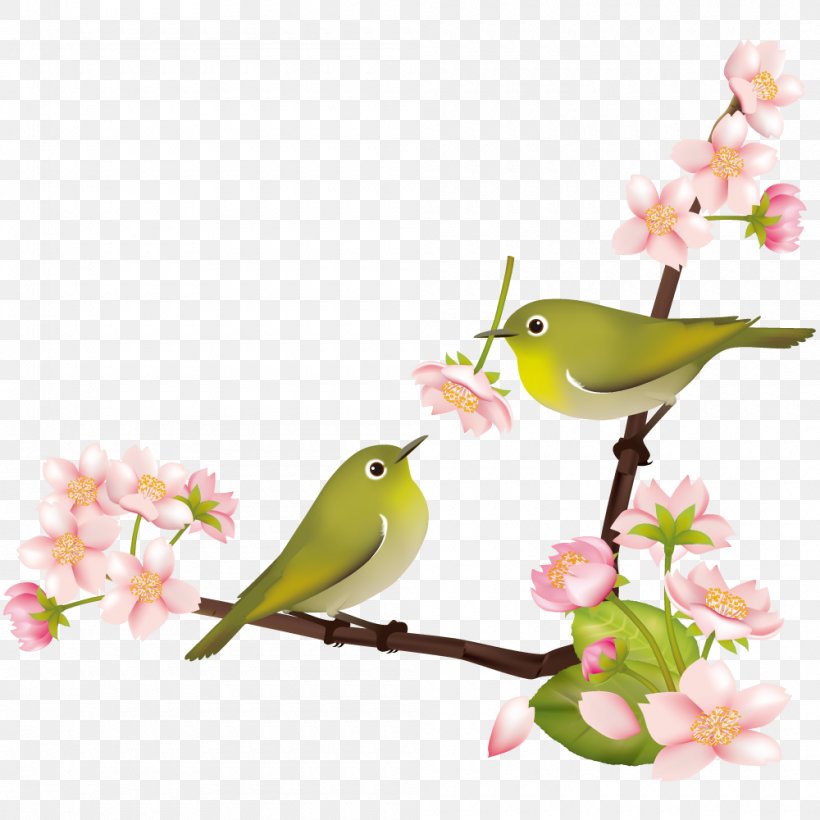 Cherry Blossom Japanese White-eye Japanese Bush Warbler Bird 鶯色, PNG, 1000x1000px, Cherry Blossom, Beak, Bird, Blossom, Branch Download Free
