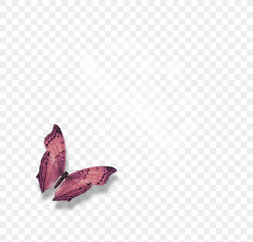 Desktop Wallpaper YouTube Clip Art, PNG, 1600x1533px, Youtube, Butterfly, Magenta, Moths And Butterflies, Pollinator Download Free